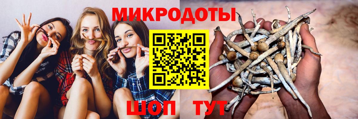 магазин продажи наркотиков  Вход с VPN  Коркино  Псилоцибиновые грибы Cubensis 
