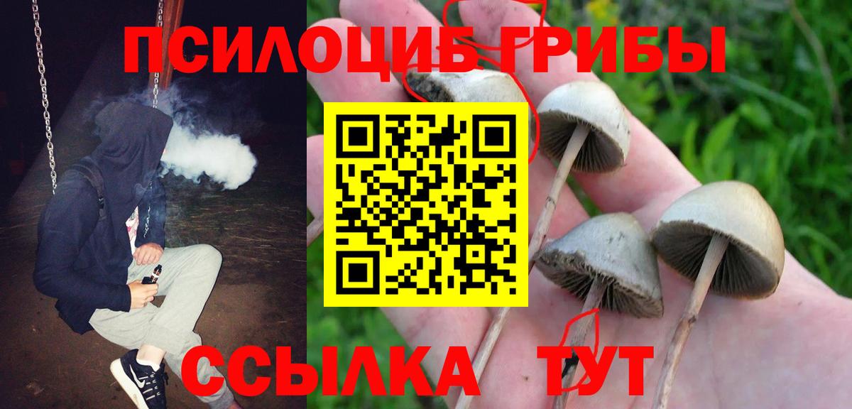 Галлюциногенные грибы MAGIC MUSHROOMS Коркино